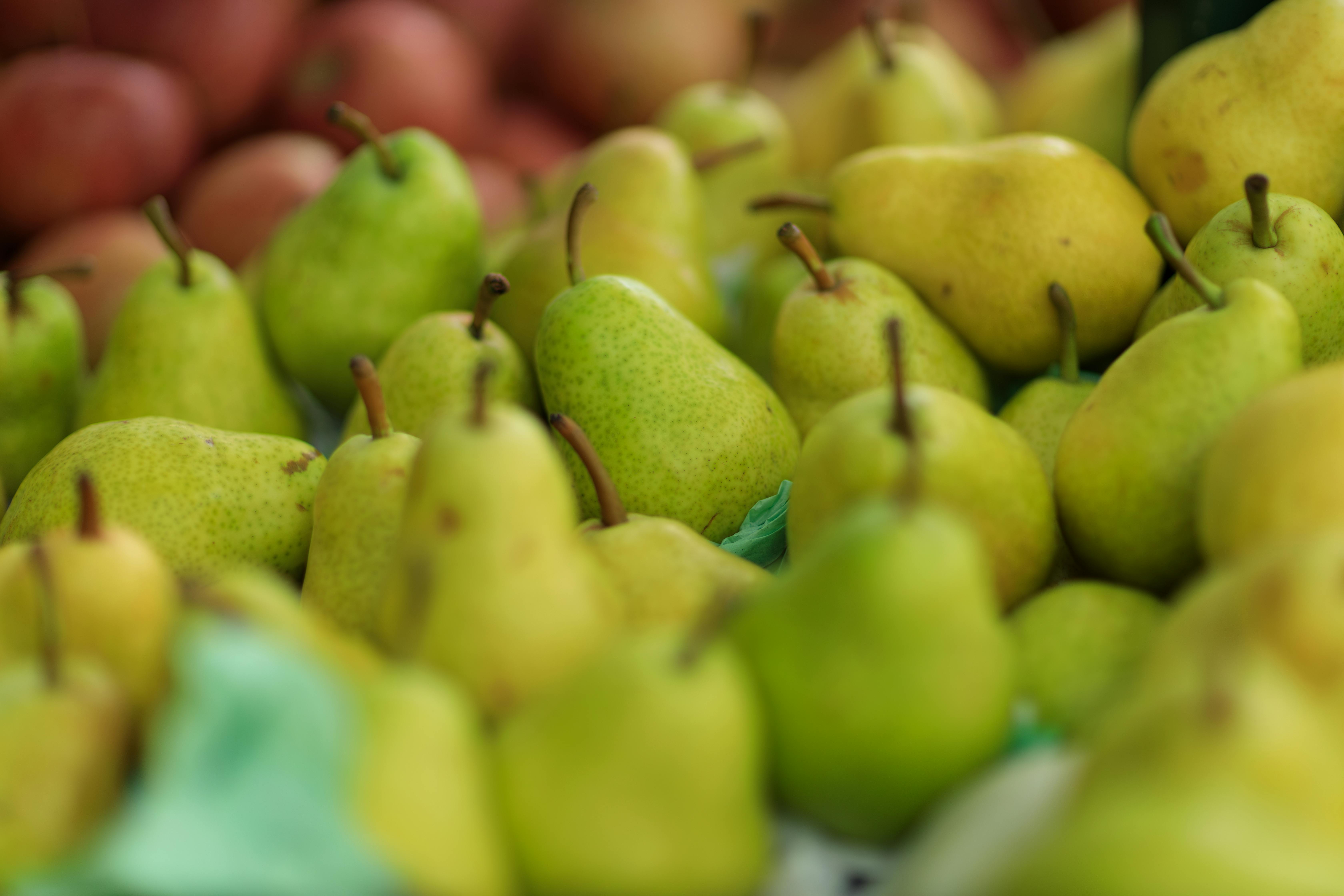 Effective Vertical Diet Meal Plan for Optimal Energy in 2025
