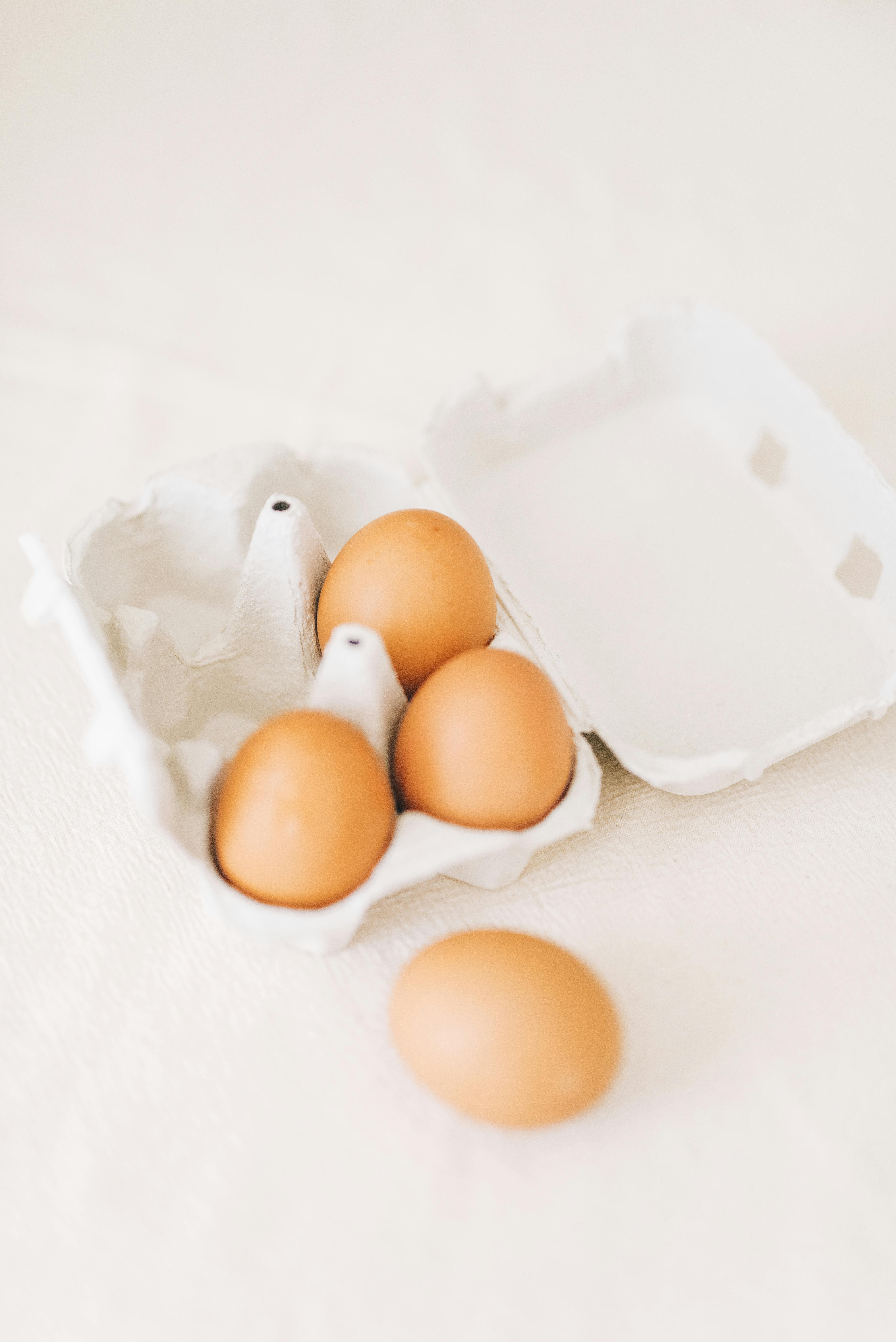 Effective Ways to Optimize King Snake Diet in 2025