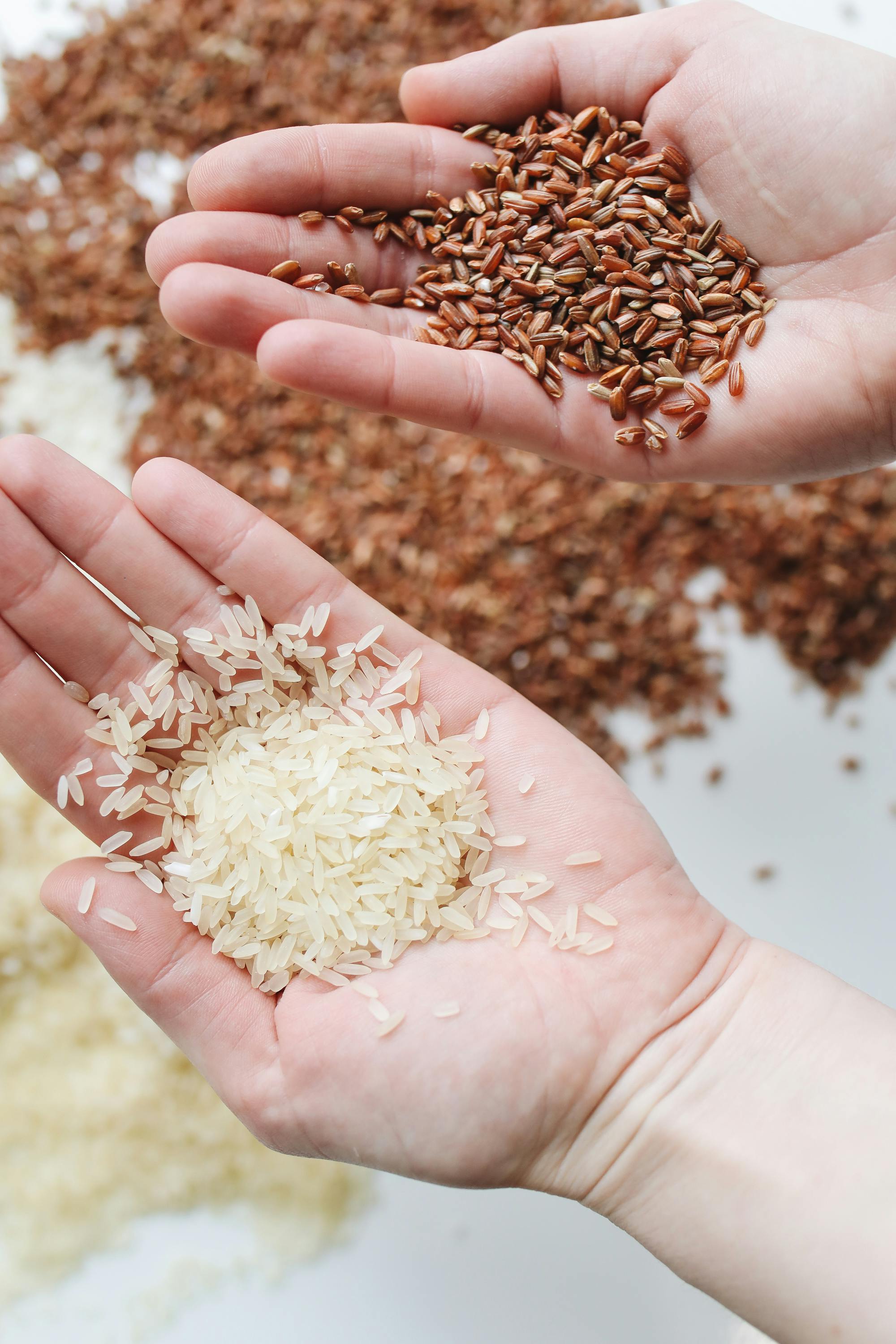 Smart Ways to Save with Science Diet Dog Food Coupons in 2025