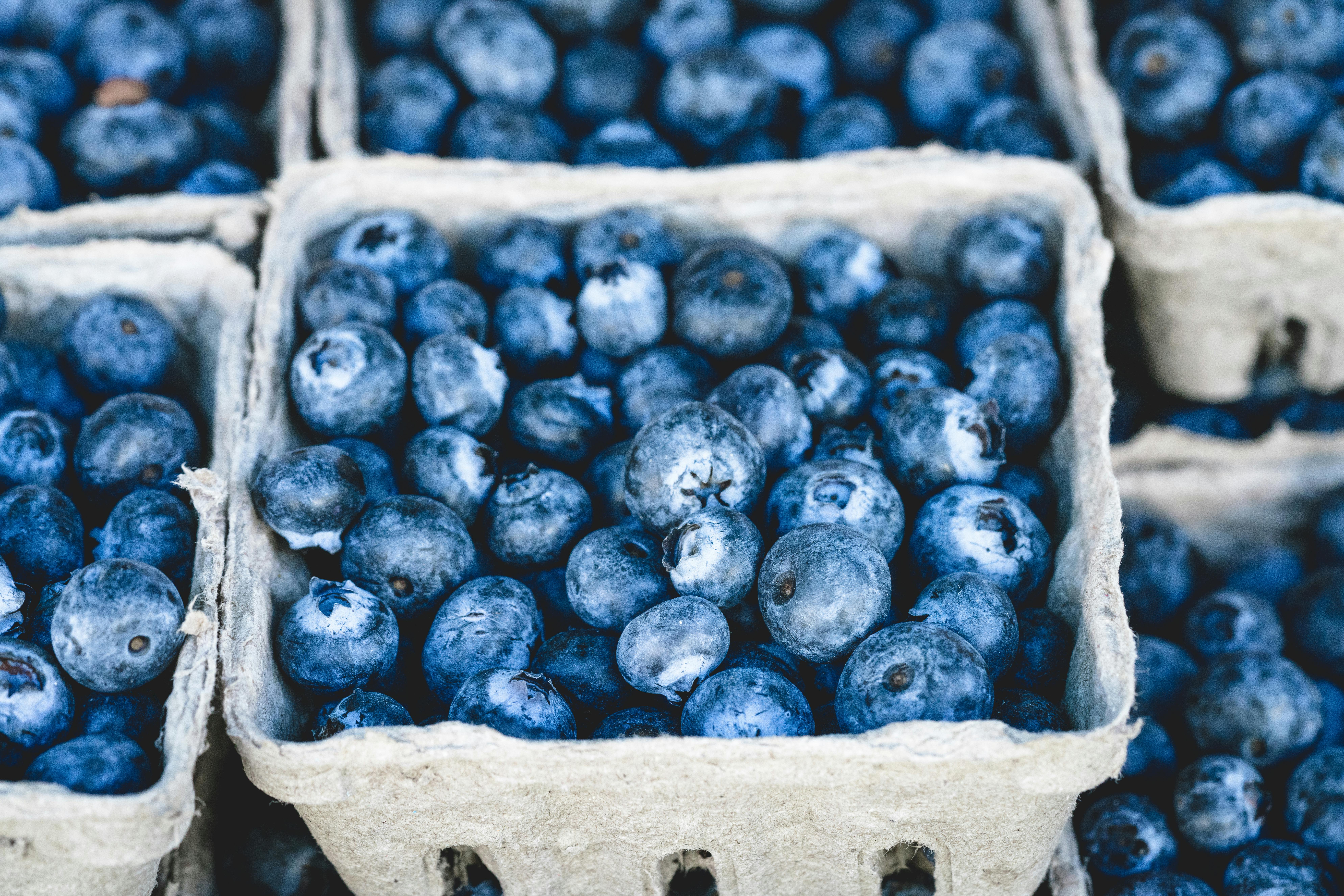 Effective 30-Day IBS Diet Plan for Improved Digestive Health