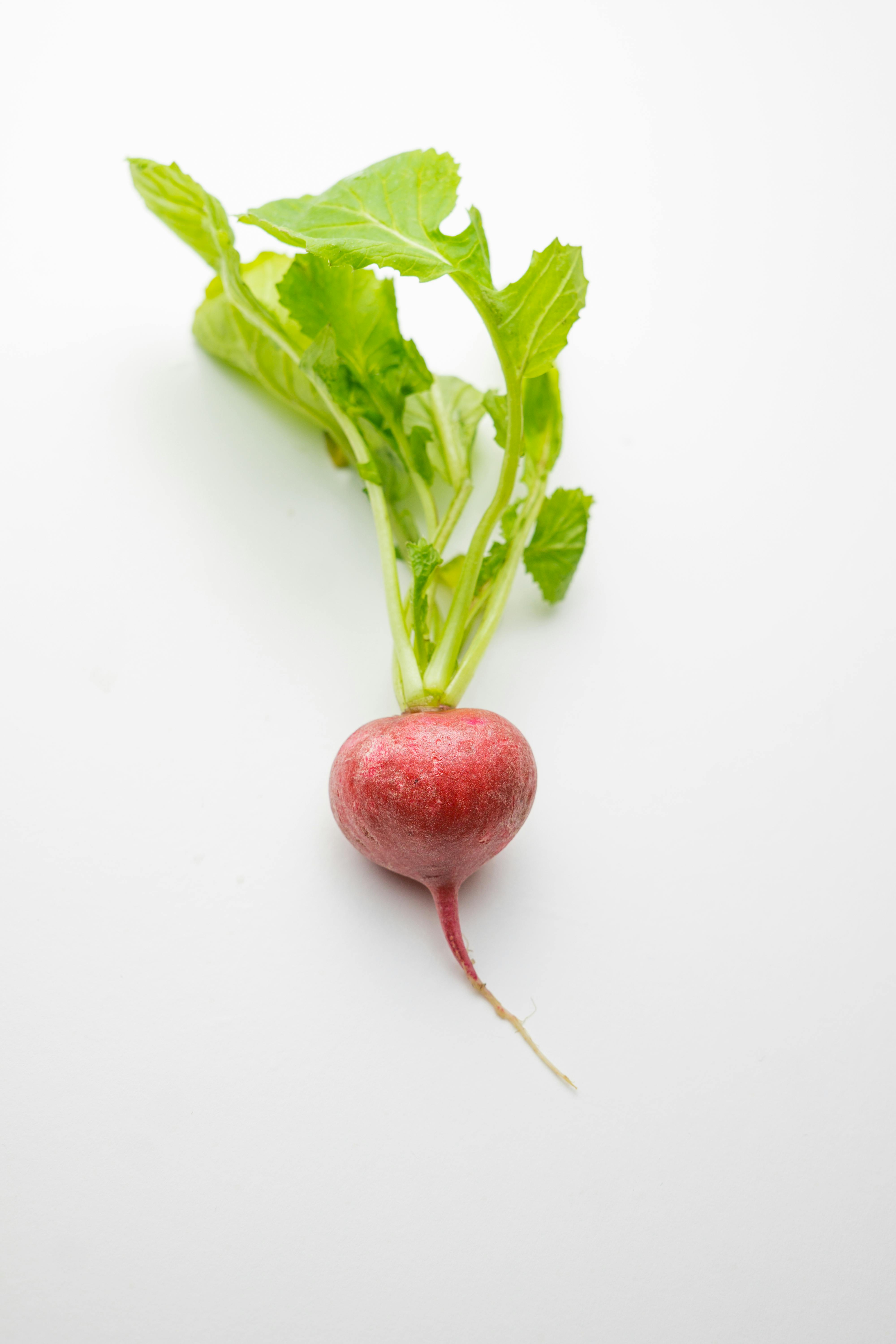 Smart Ways to Optimize Your Jake Gyllenhaal Diet in 2025