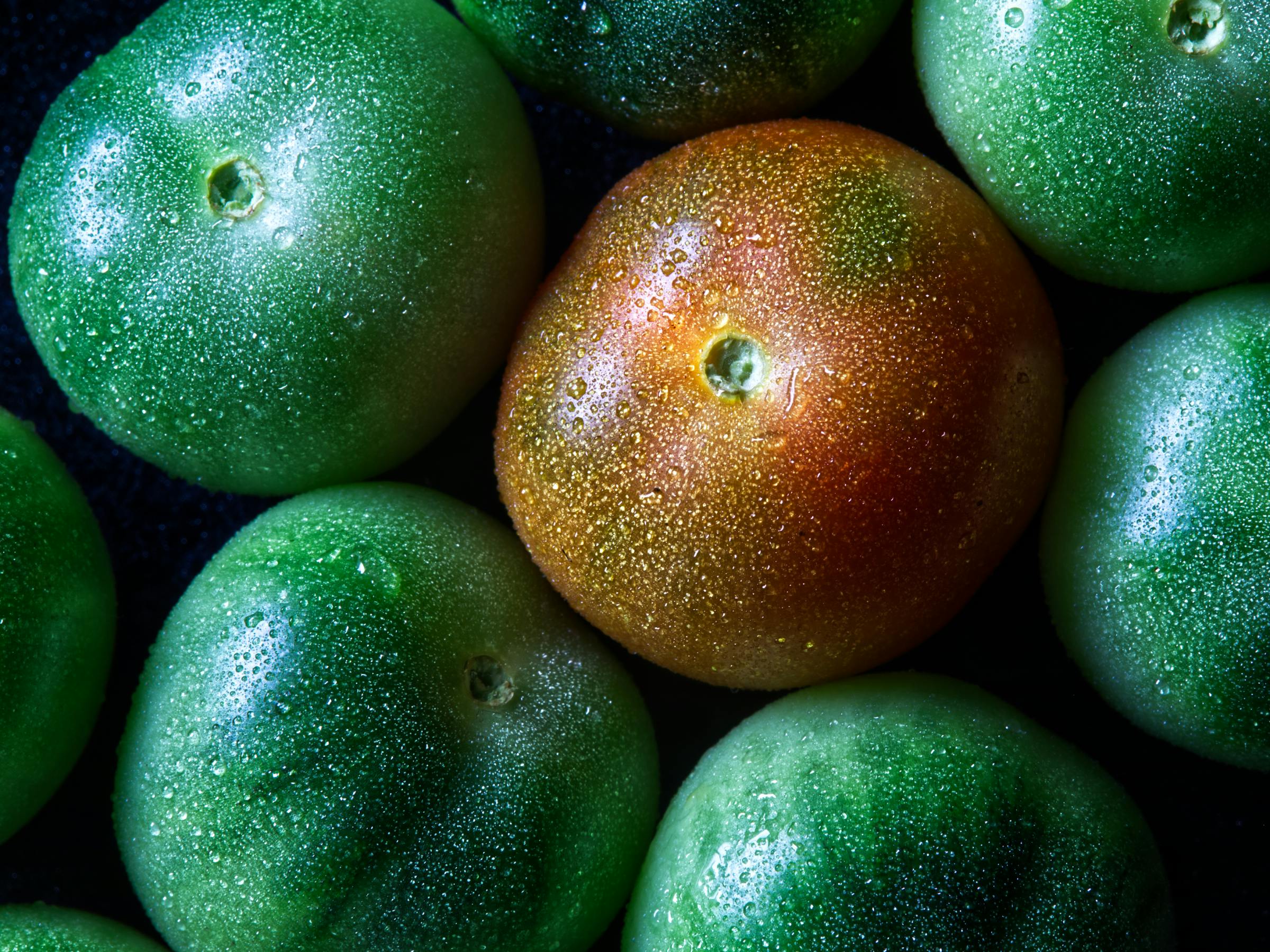 Effective Ways to Enhance Your Medifast Diet in 2025