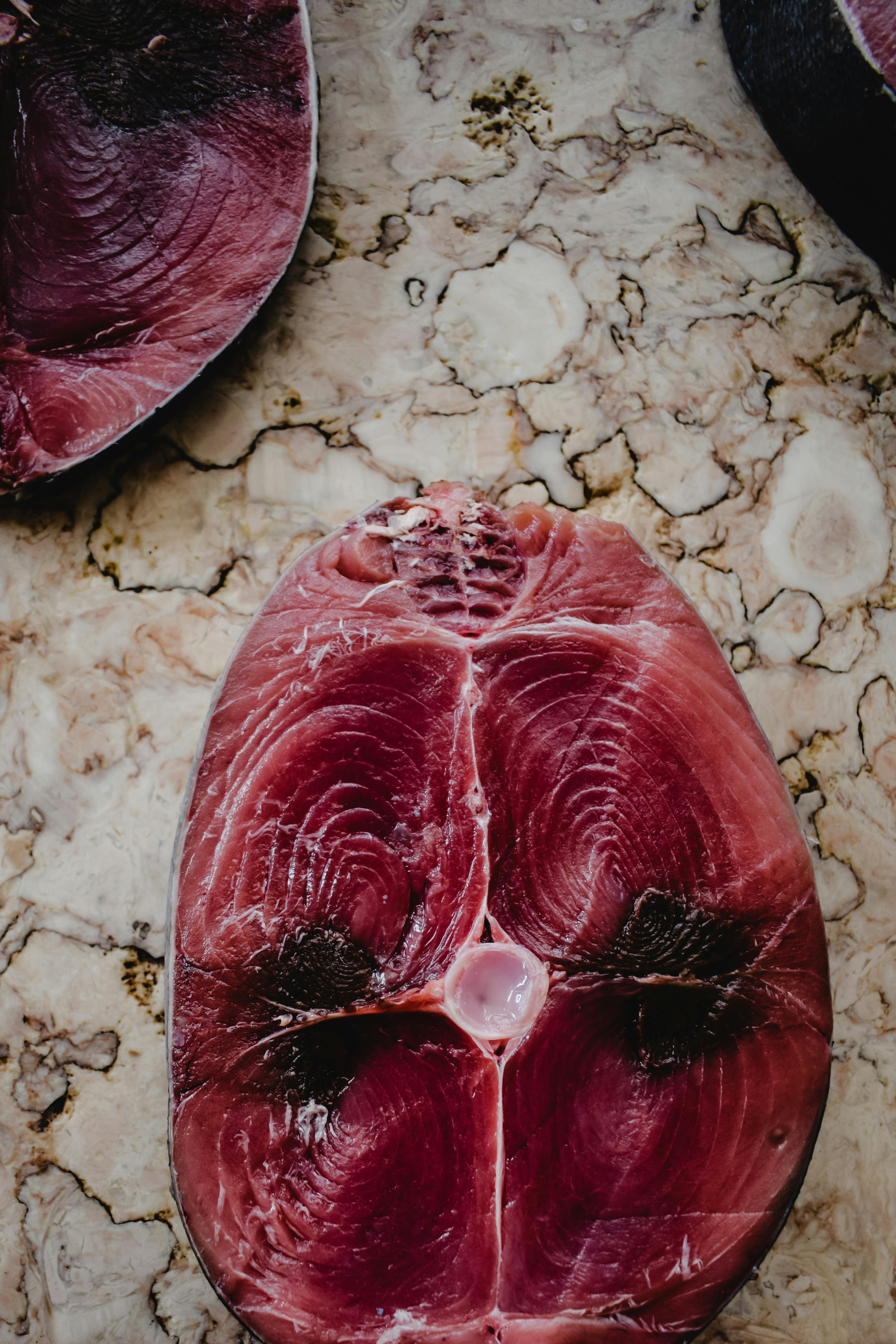 Effective Ways to Achieve Results with the 90-Day Carnivore Diet