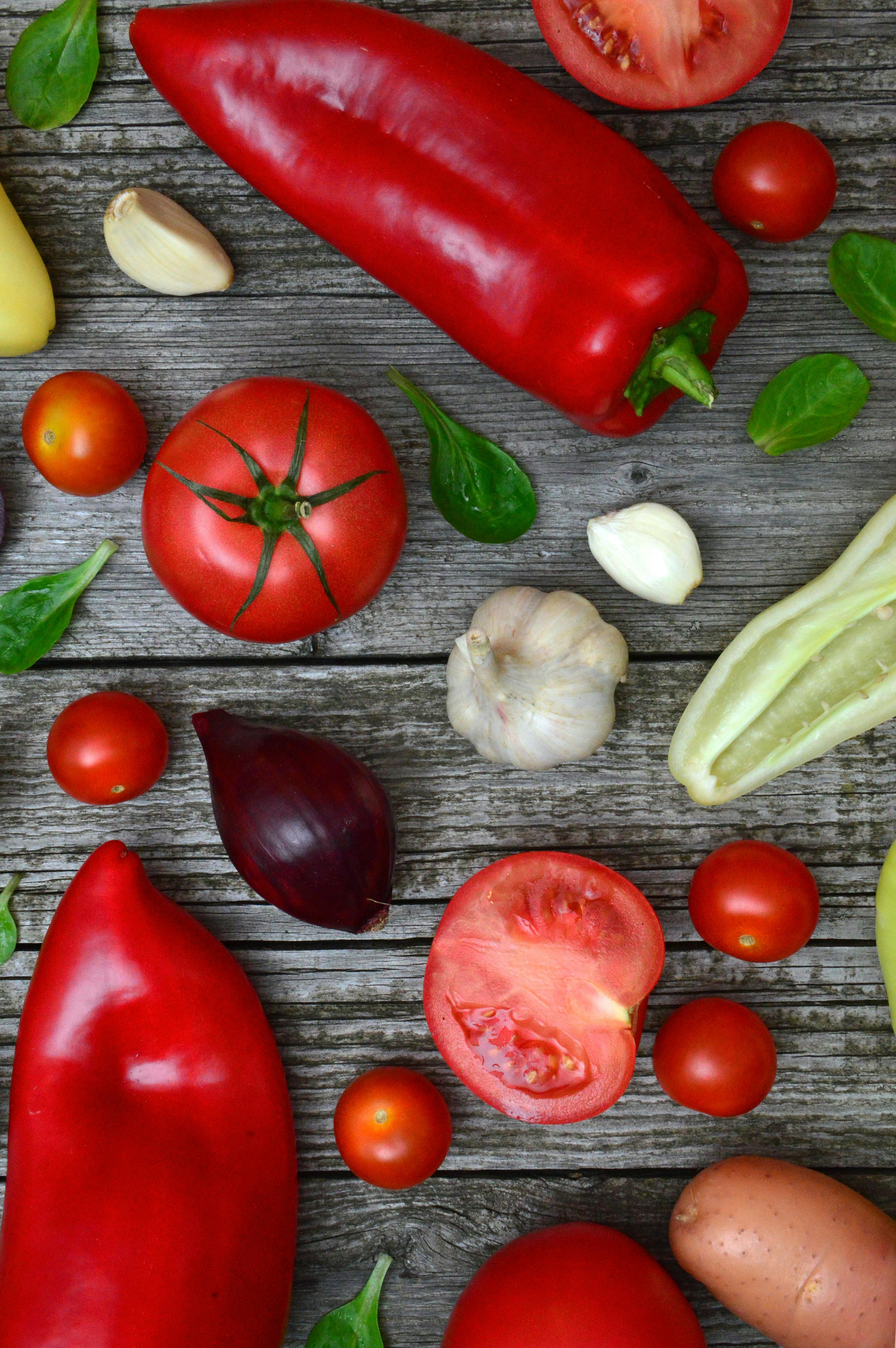 Smart Ways to Optimize Science Diet Puppy Food for 2025