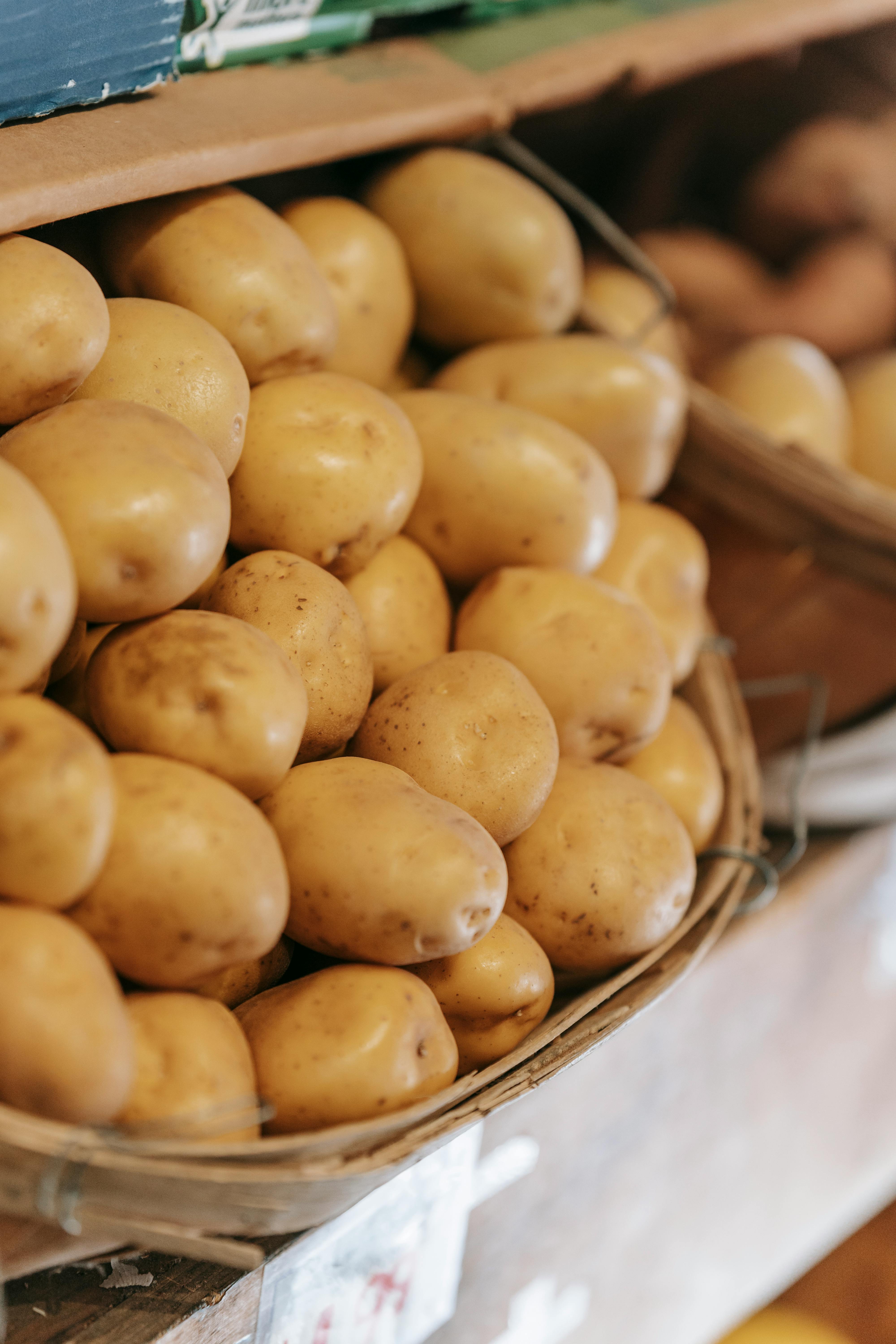Effective Ways to Enhance Your High Protein Mediterranean Diet in 2025