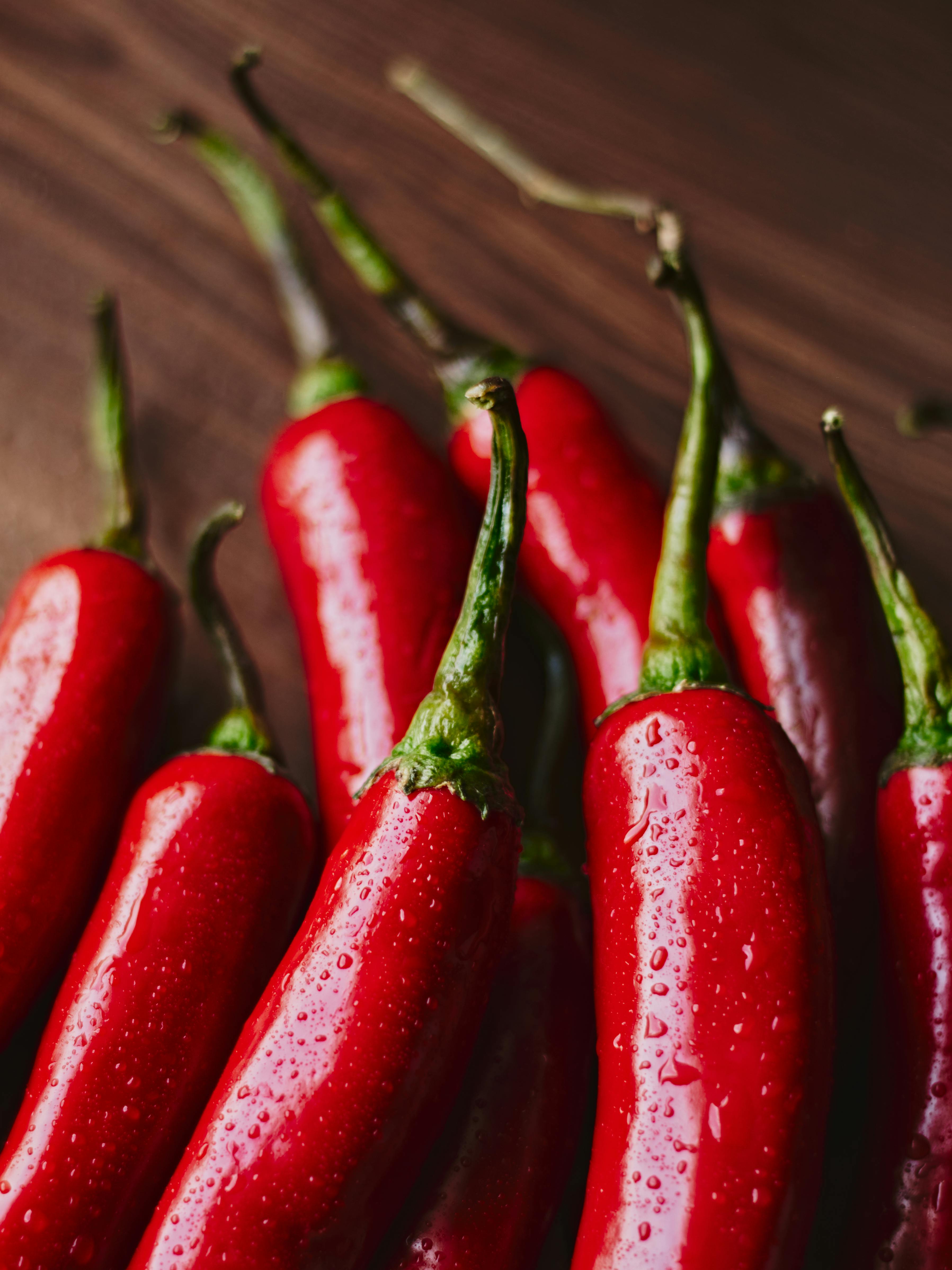 Best 7 Vertical Diet Choices for 2025: Enhance Your Health Today
