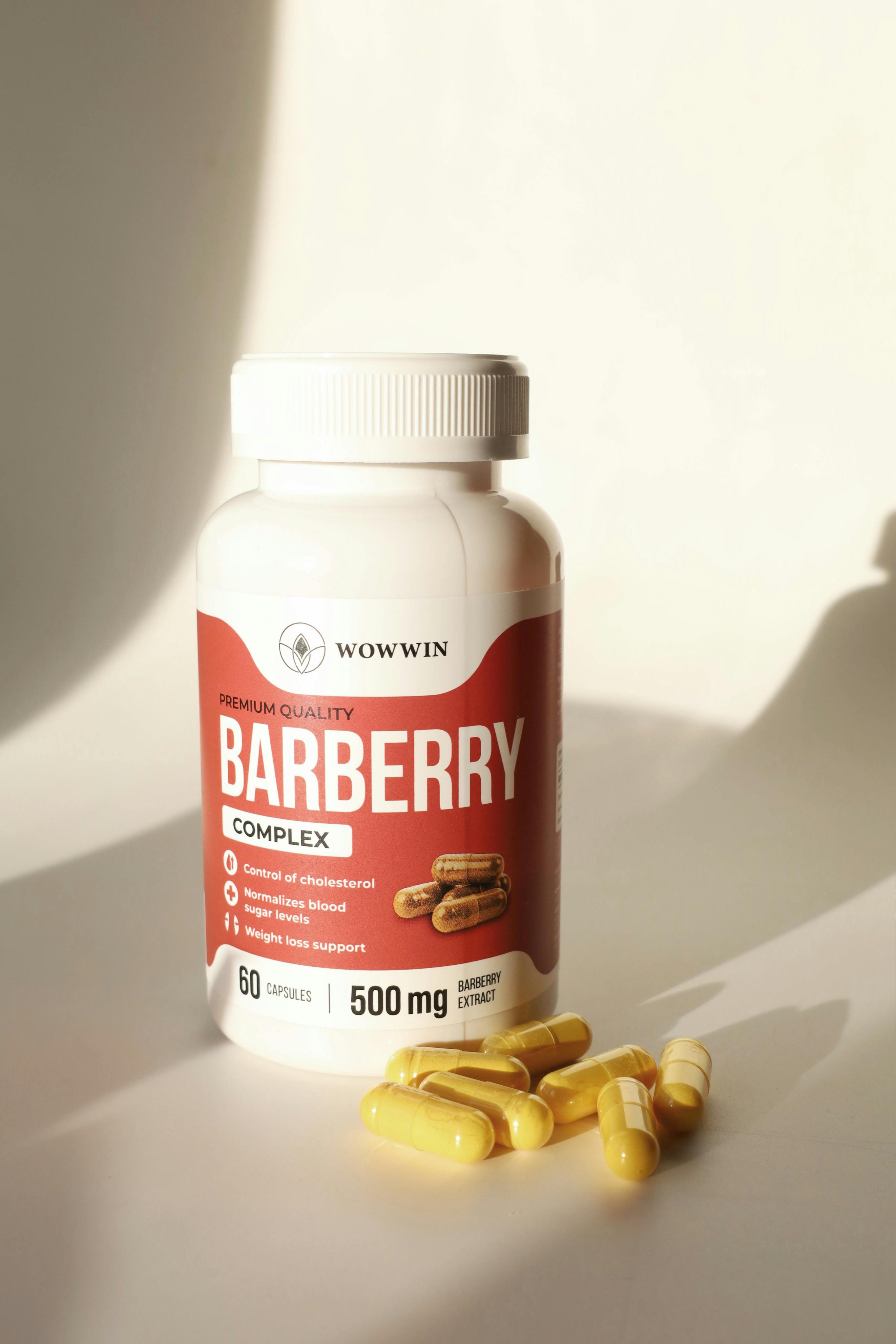 Best 5 Spider Monkey Diet Options for Optimal Health in 2025