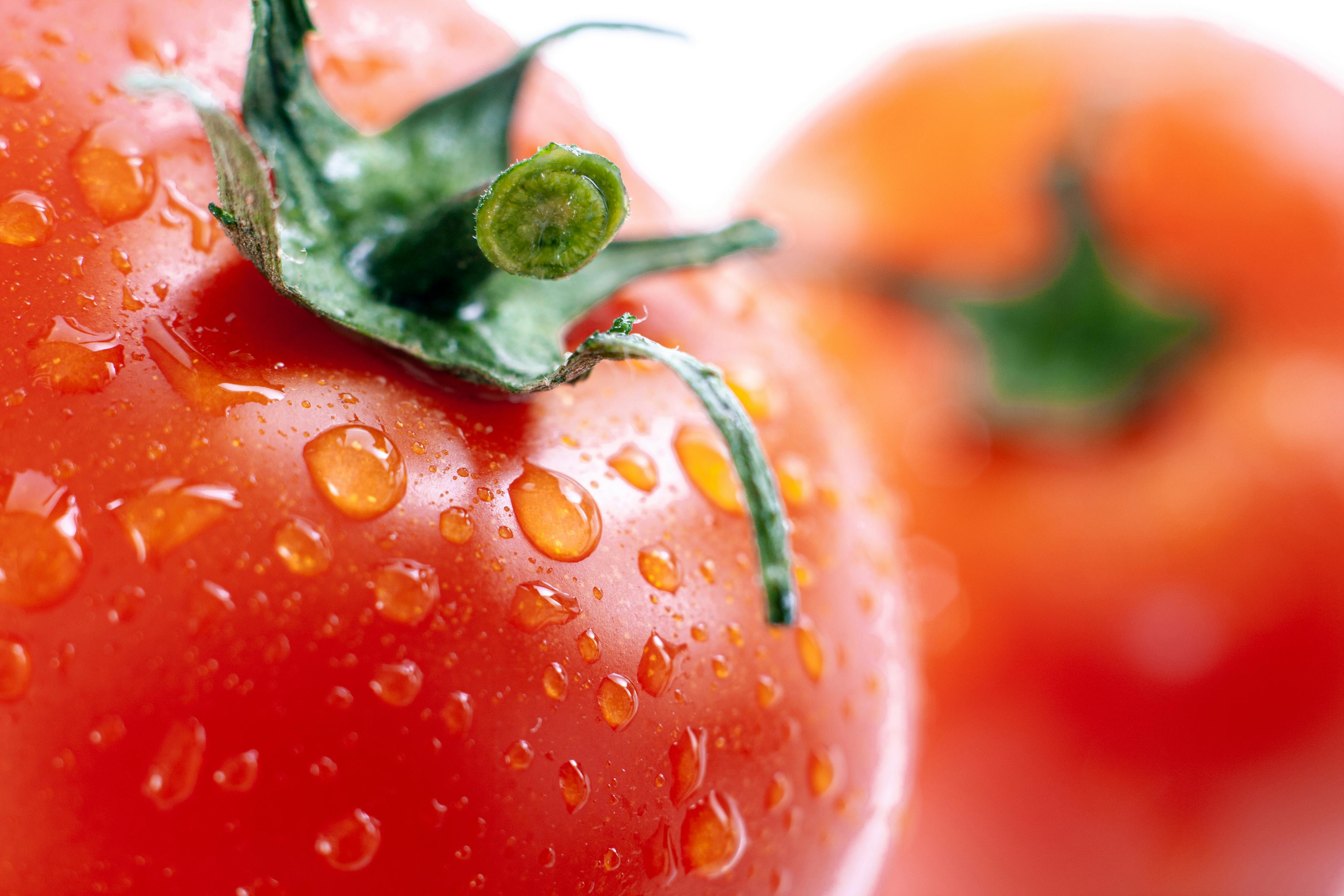 Effective Ways to Implement the Wahls Protocol Diet in 2025