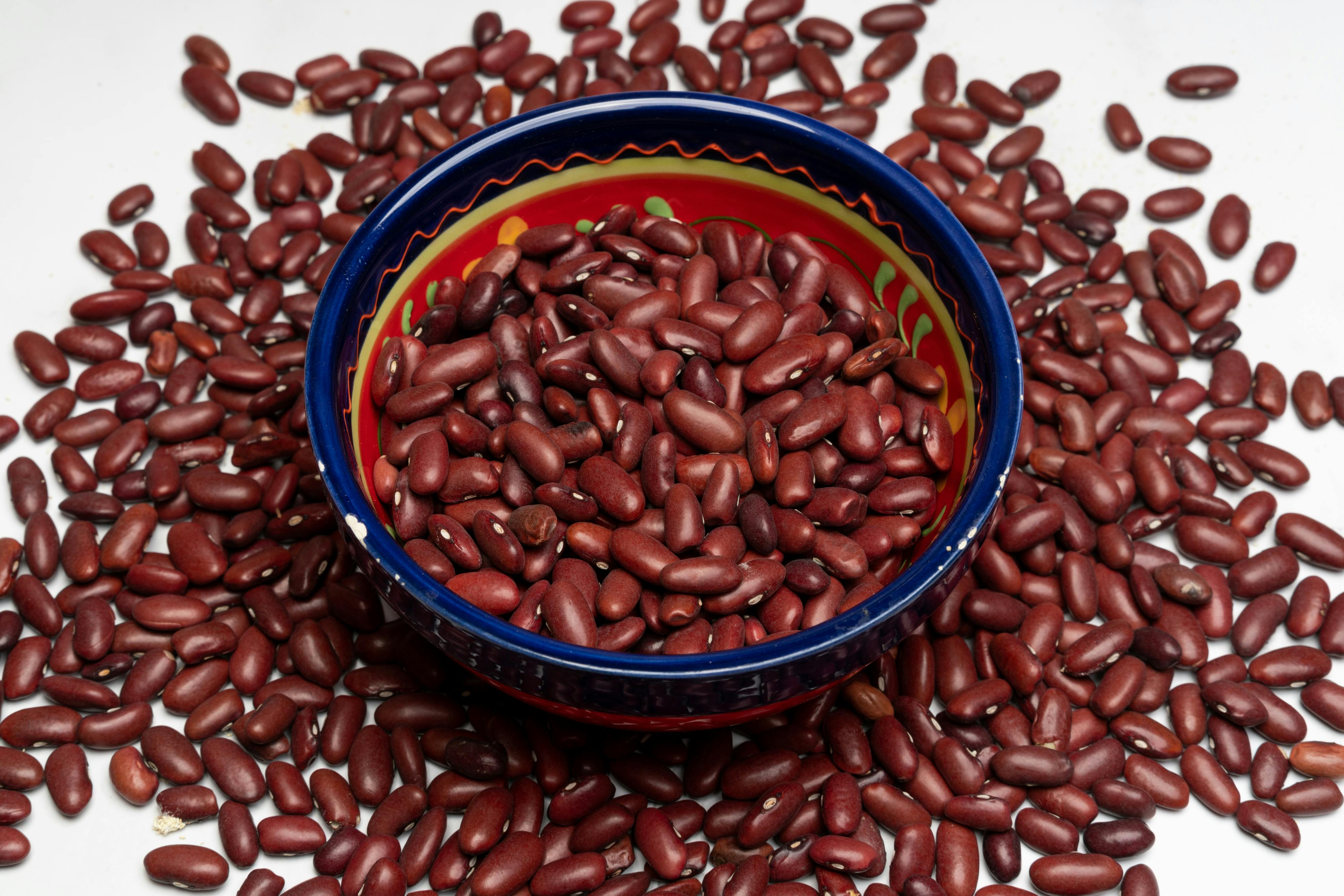 Effective Ways to Optimize Ferrets' Diet on Keto in 2025