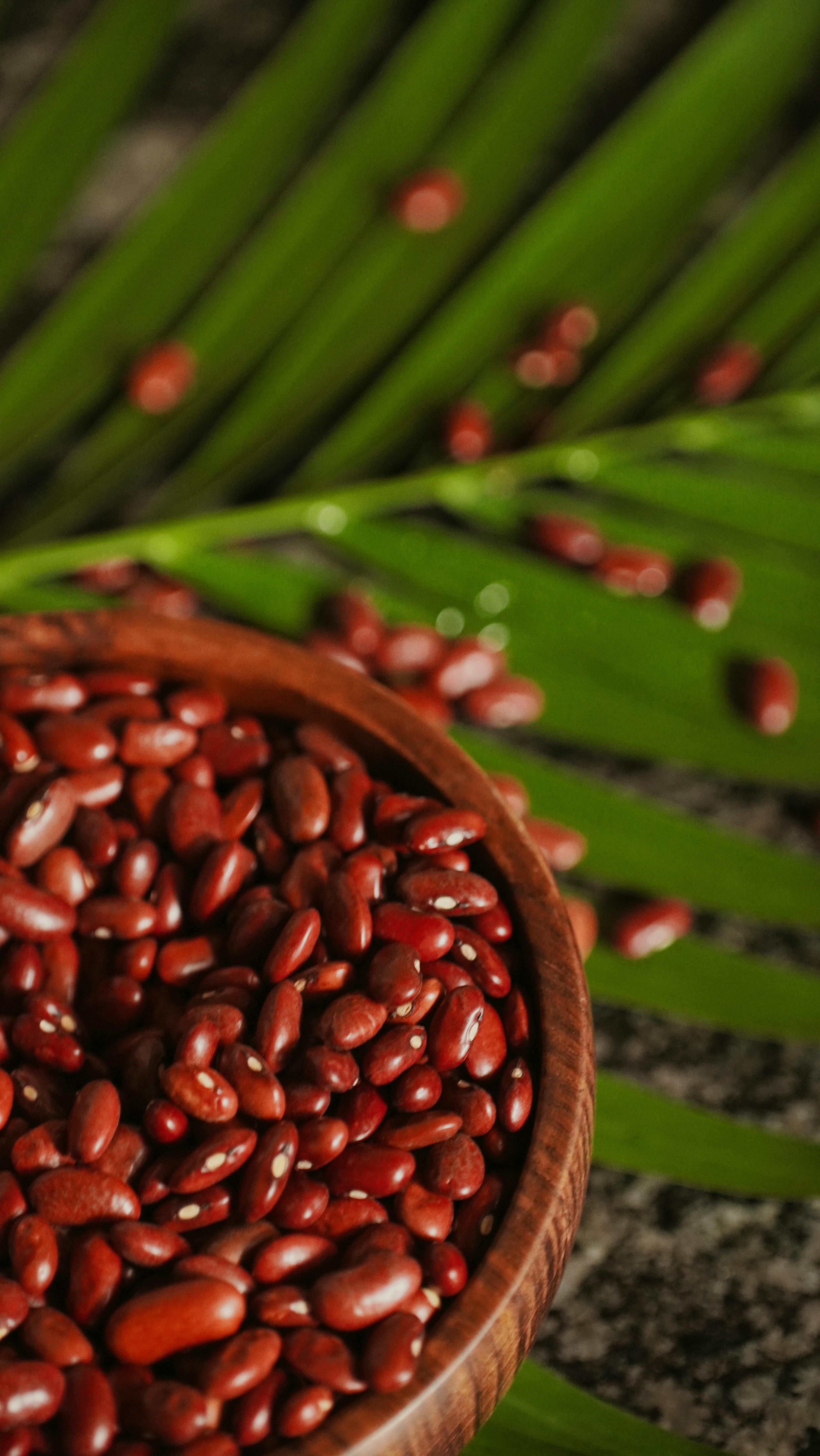 Essential Guide to Mevy Diet for Modern Health in 2025