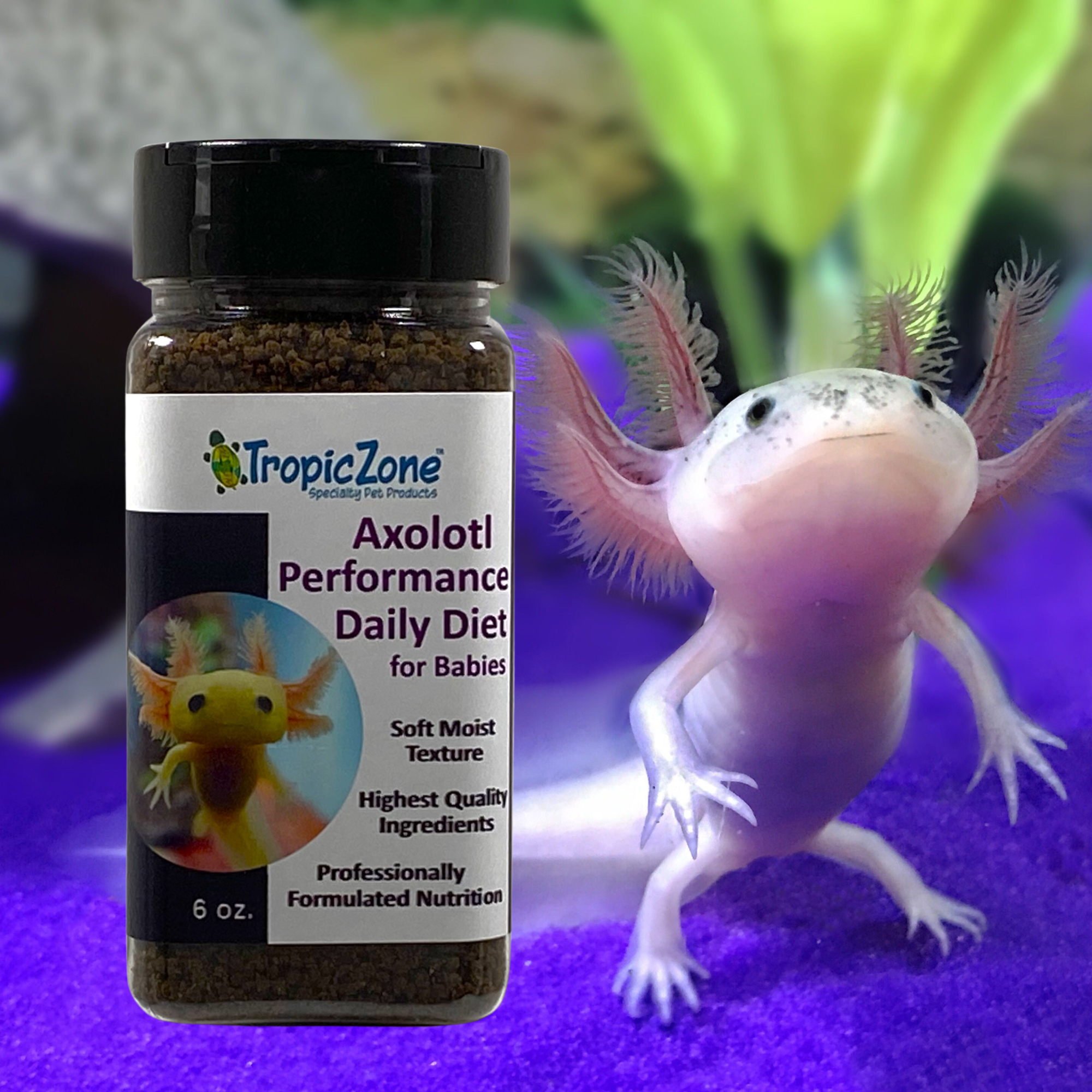 Axolotl Feeding Guide