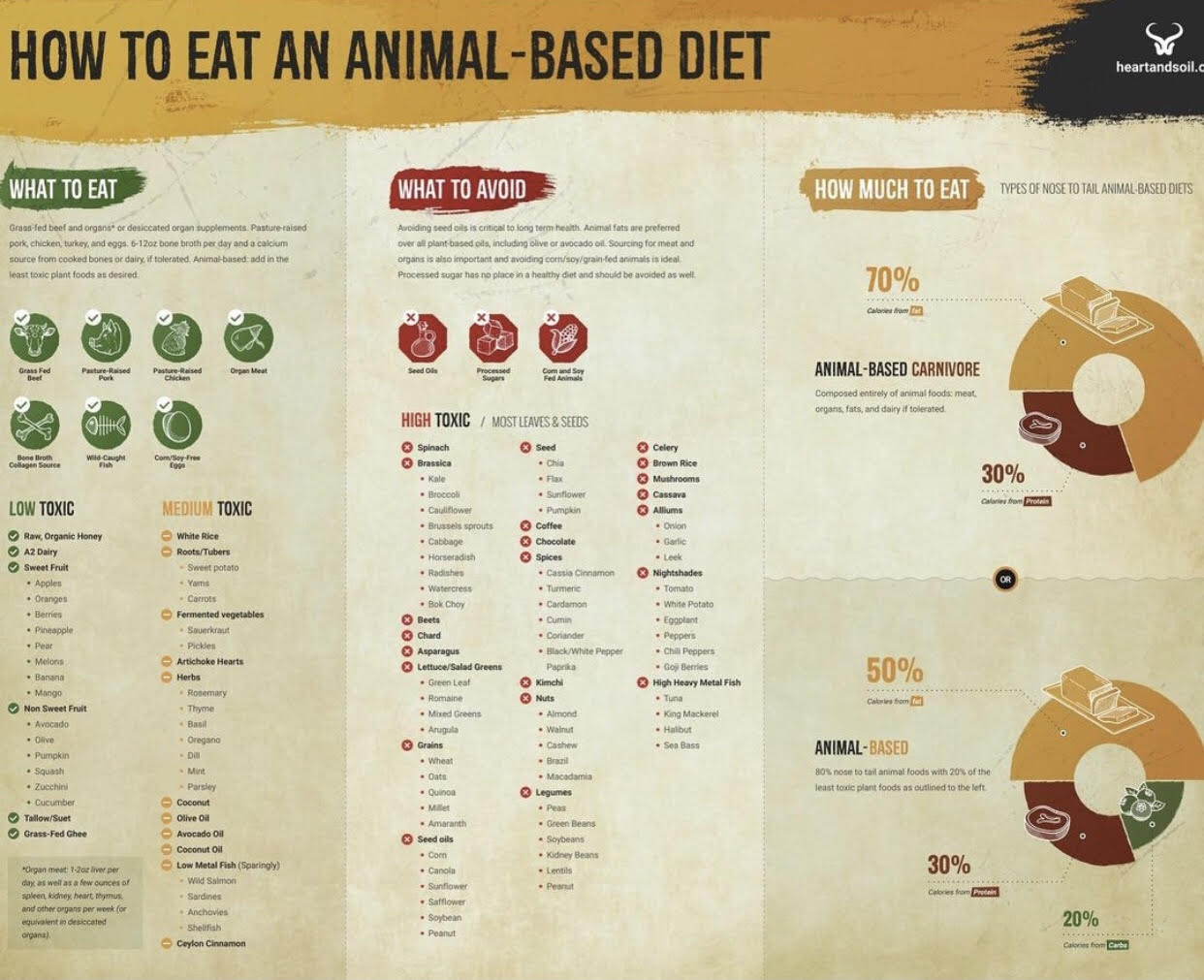 Smart Ways to Enhance Your Animal-Based Diet: Essential 2025 Food List